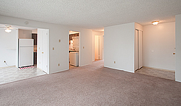 Photo15529