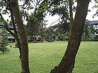 Photo28367